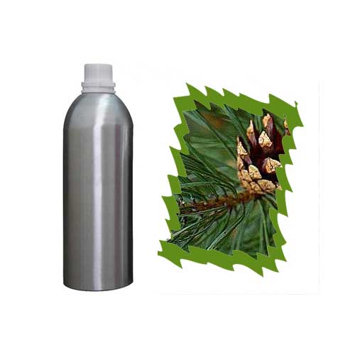 Pine Needle Essential Oil